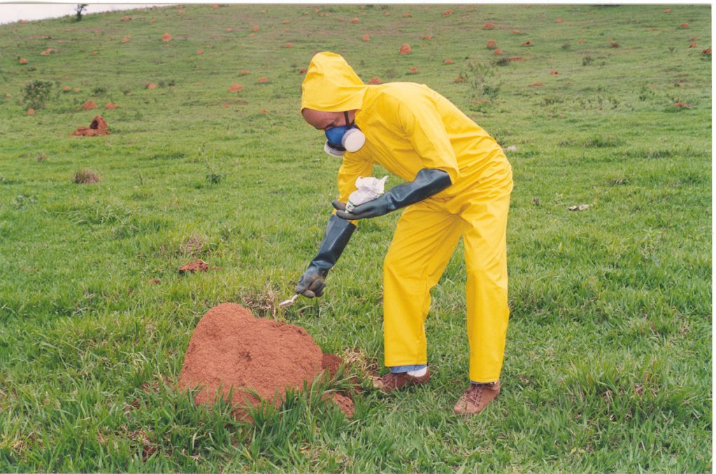 portal agropecuario controle cupim